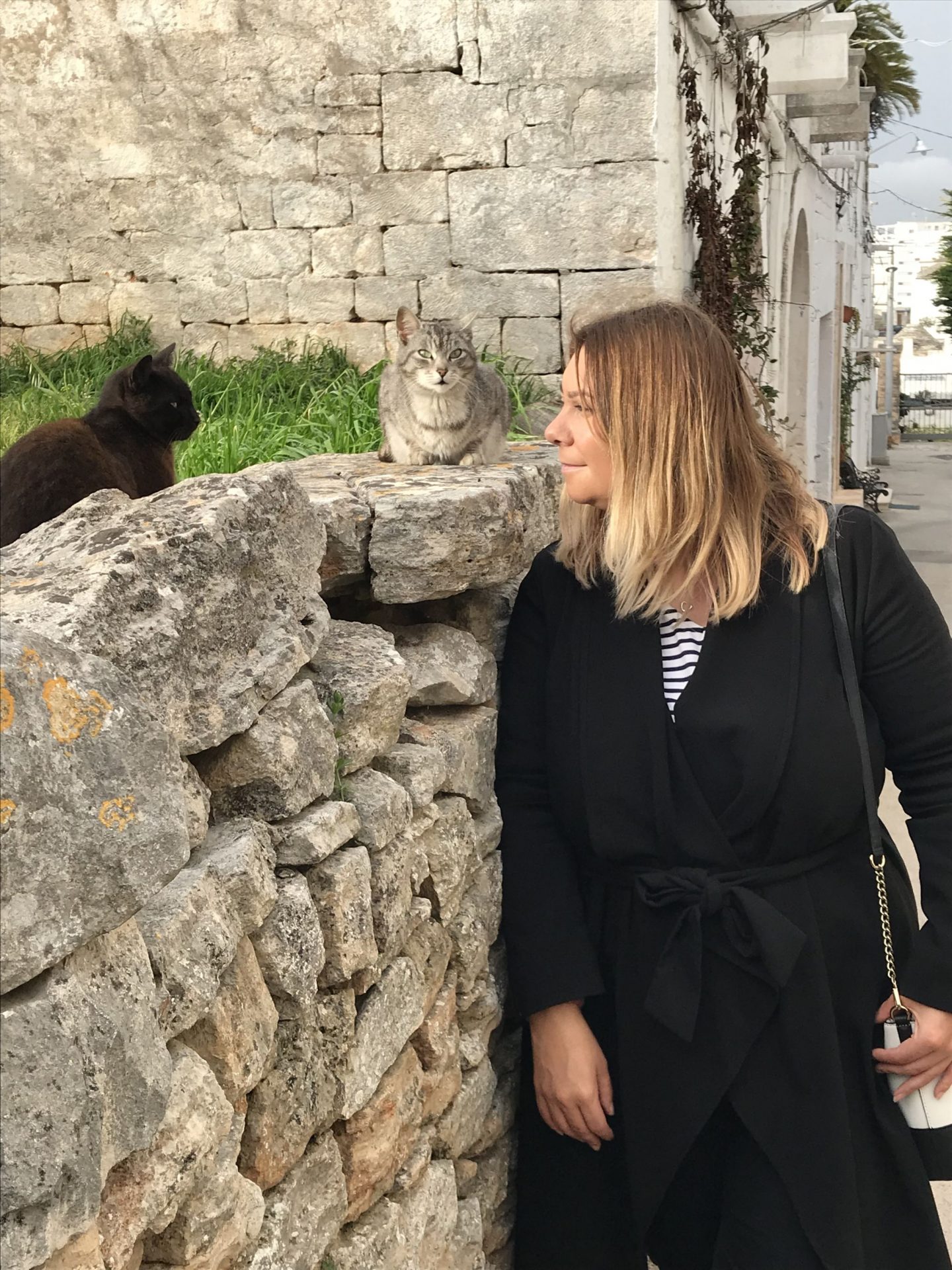 Feline friends in Alberobello