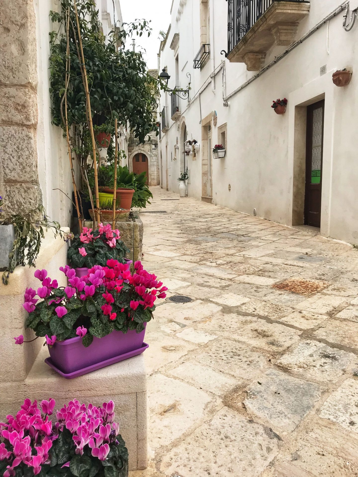 Flower lined streets of Locorotondo