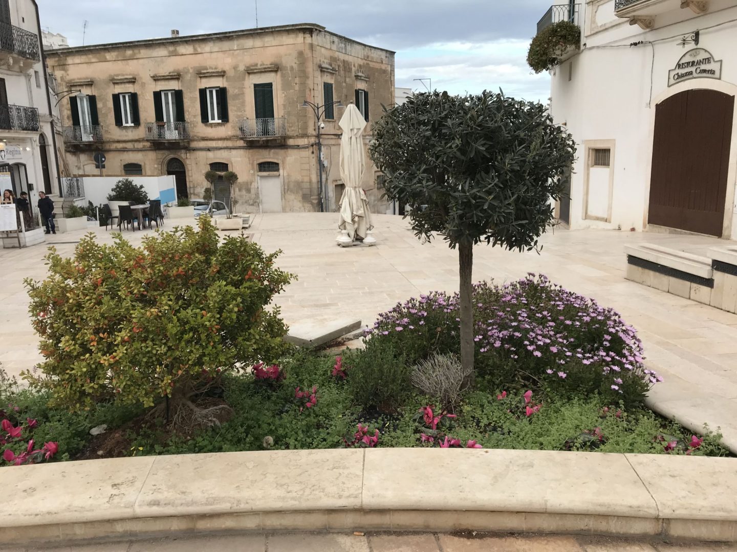 Puglia road trip exploring pretty scenes and Flowers in Ostuni