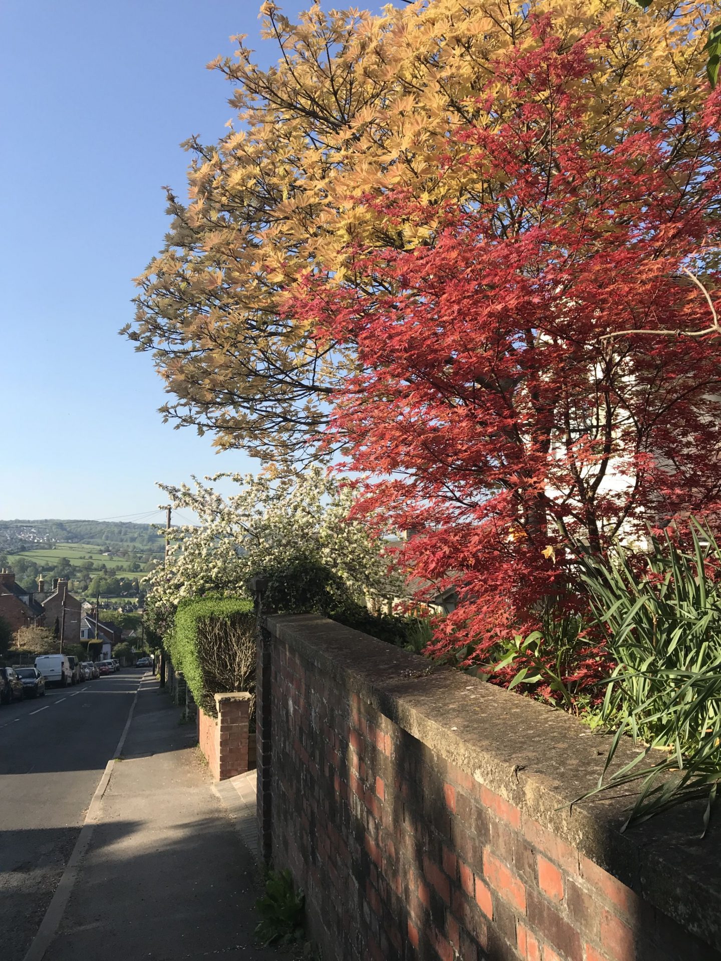 Colourful streets of Stroud