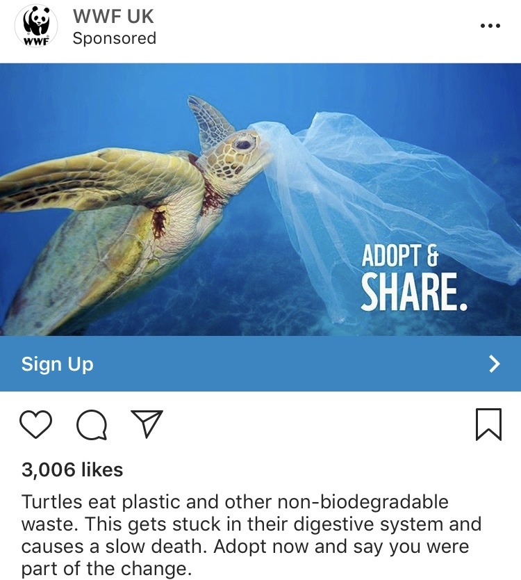 WWF Turtle Awareness Ingesting Plastic Bags