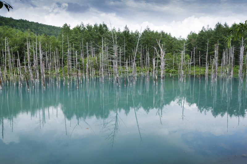 Blue Pond Hokkaido