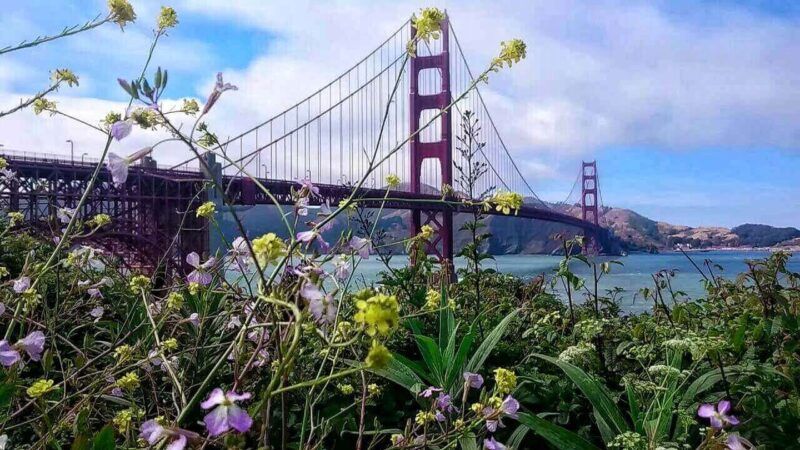 Golden Gate Bridge San Francisco