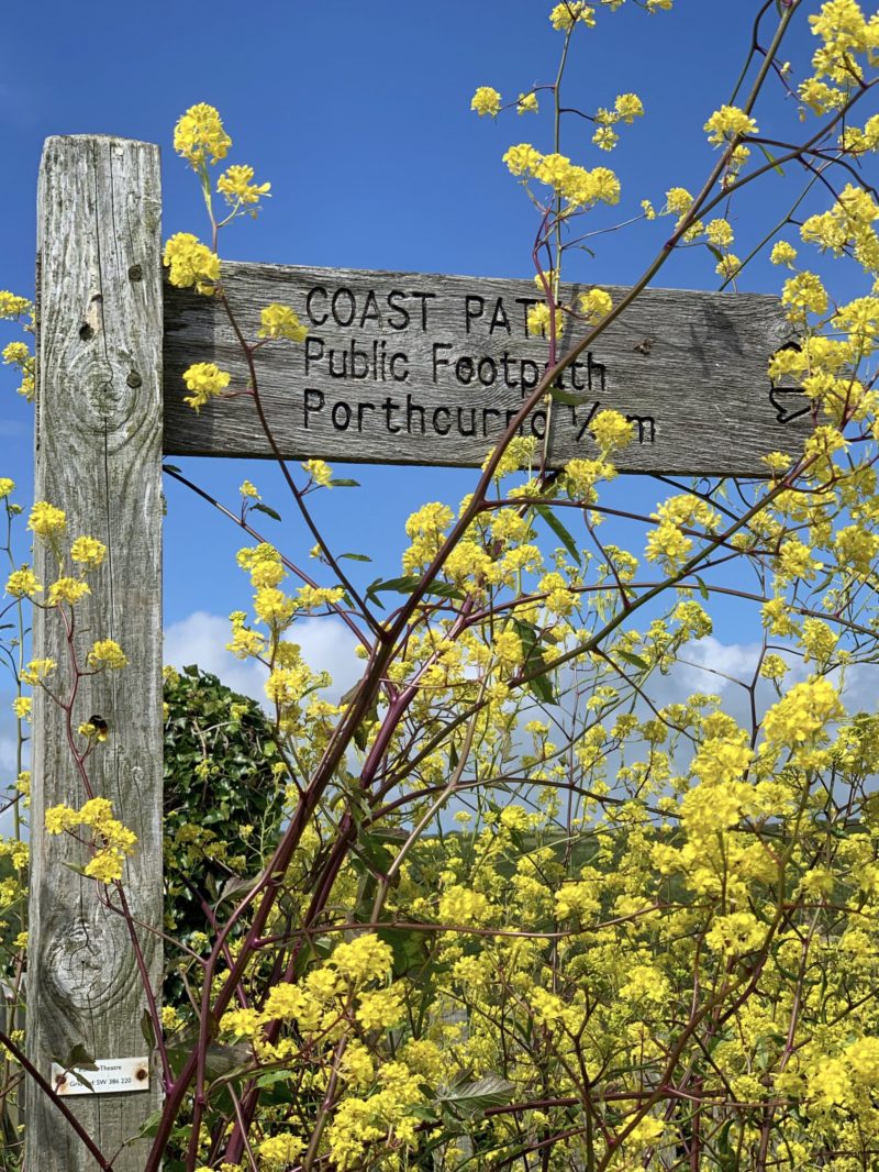 Cornwall-road-trip-itinerary-Porthcurno-coast-path