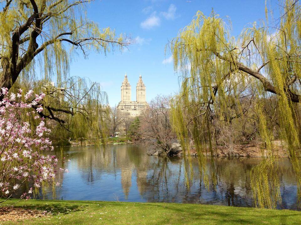 New-York-in-Spring-Central-Park