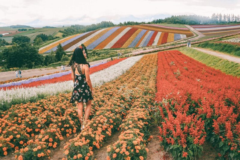 Farm Tomita Hokkaido Flower Fields Japan - girl in rainbow flower field