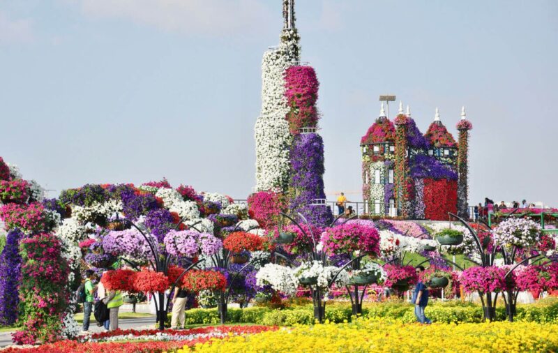 Miracle Gardens in Dubai UAE