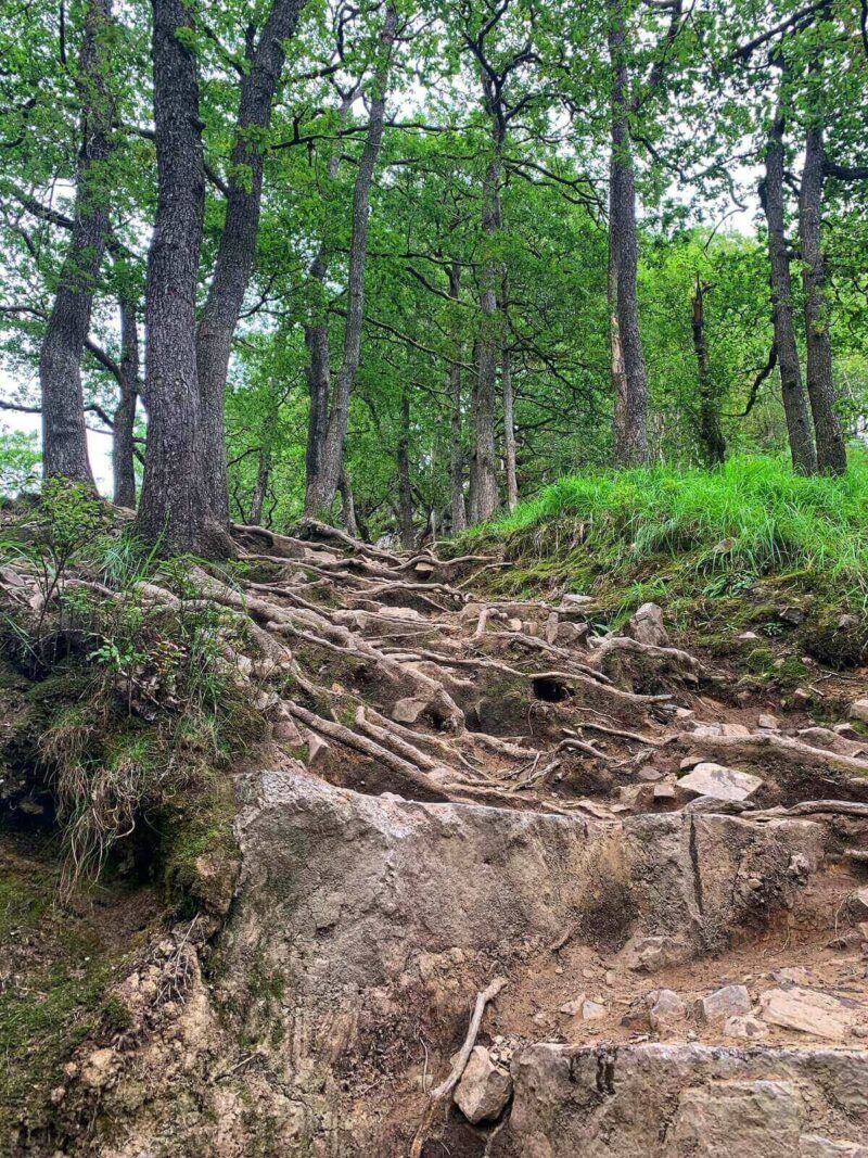 Hardest-part-of-Four-Waterfalls-Walk-Brecon-Beacons
