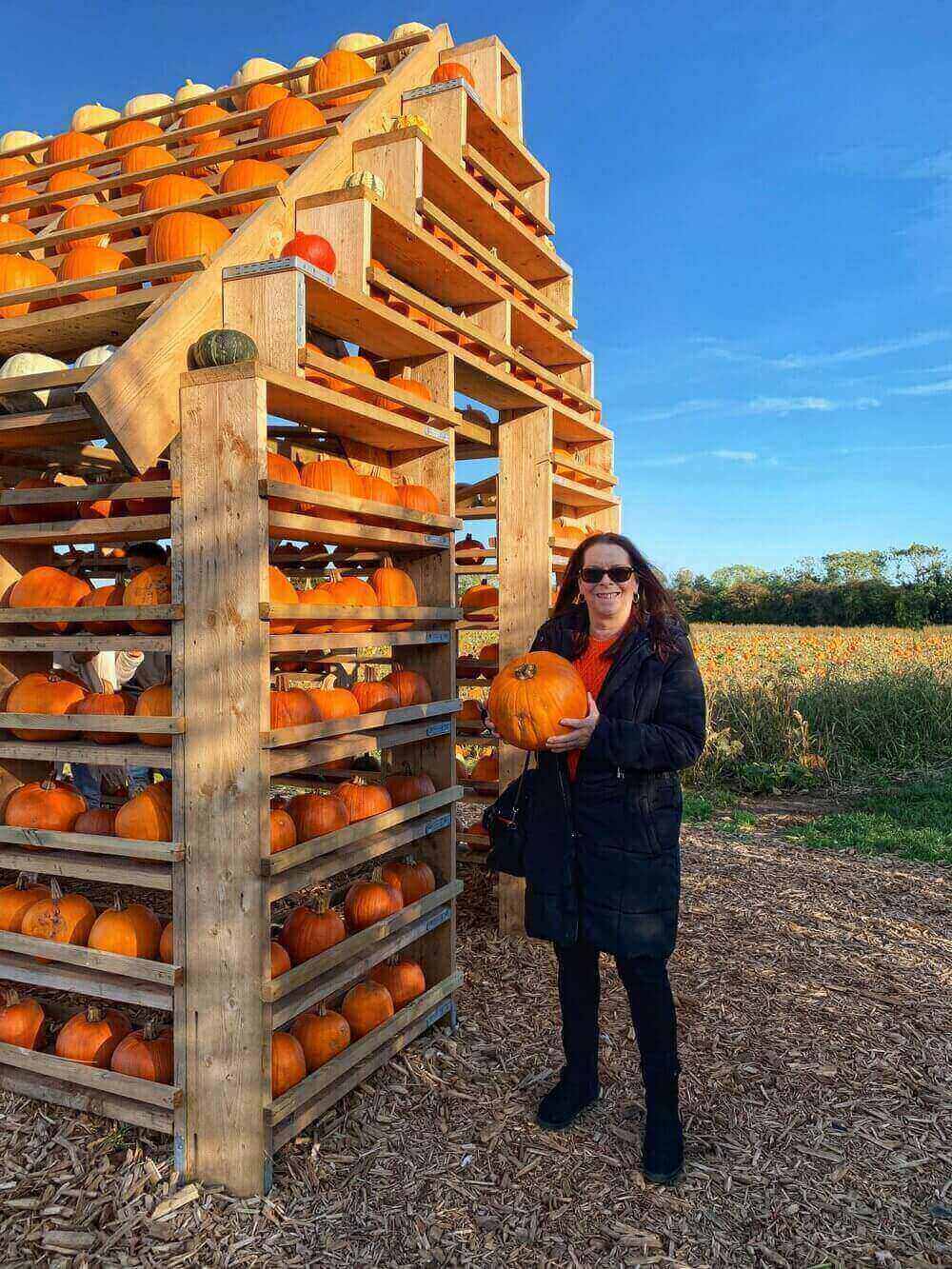 Pumpkin Patch Milton Keynes - Halloween Pumpkin Picking in MK - The ...