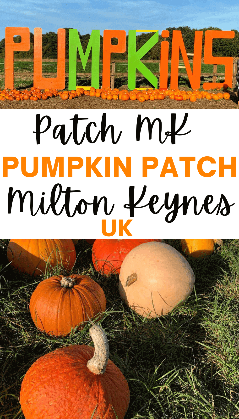 Pumpkin Patch Milton Keynes - Halloween Pumpkin Picking in MK - The ...