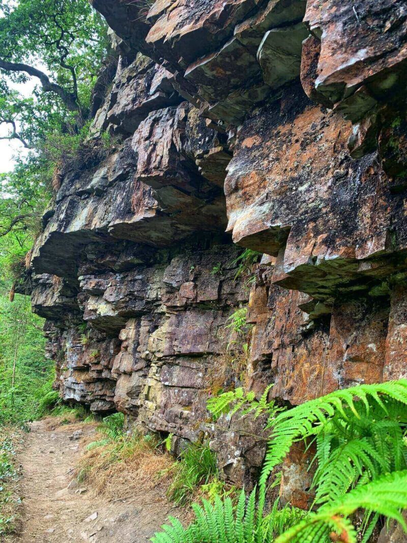Woodland-Walk-back-to-Four-Waaterfalls-Car-Park