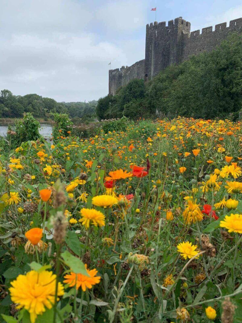 Pembroke-Castle-Pembrokeshire-Wales