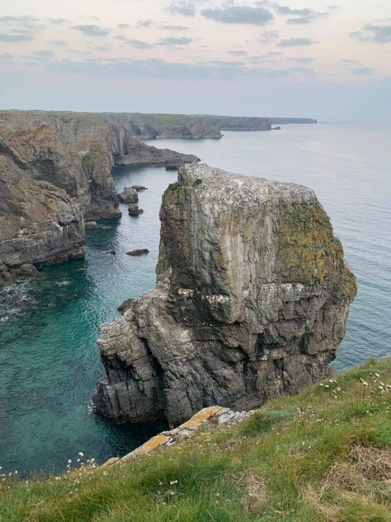 Elegug-stacks-Pembrokeshire-Wales