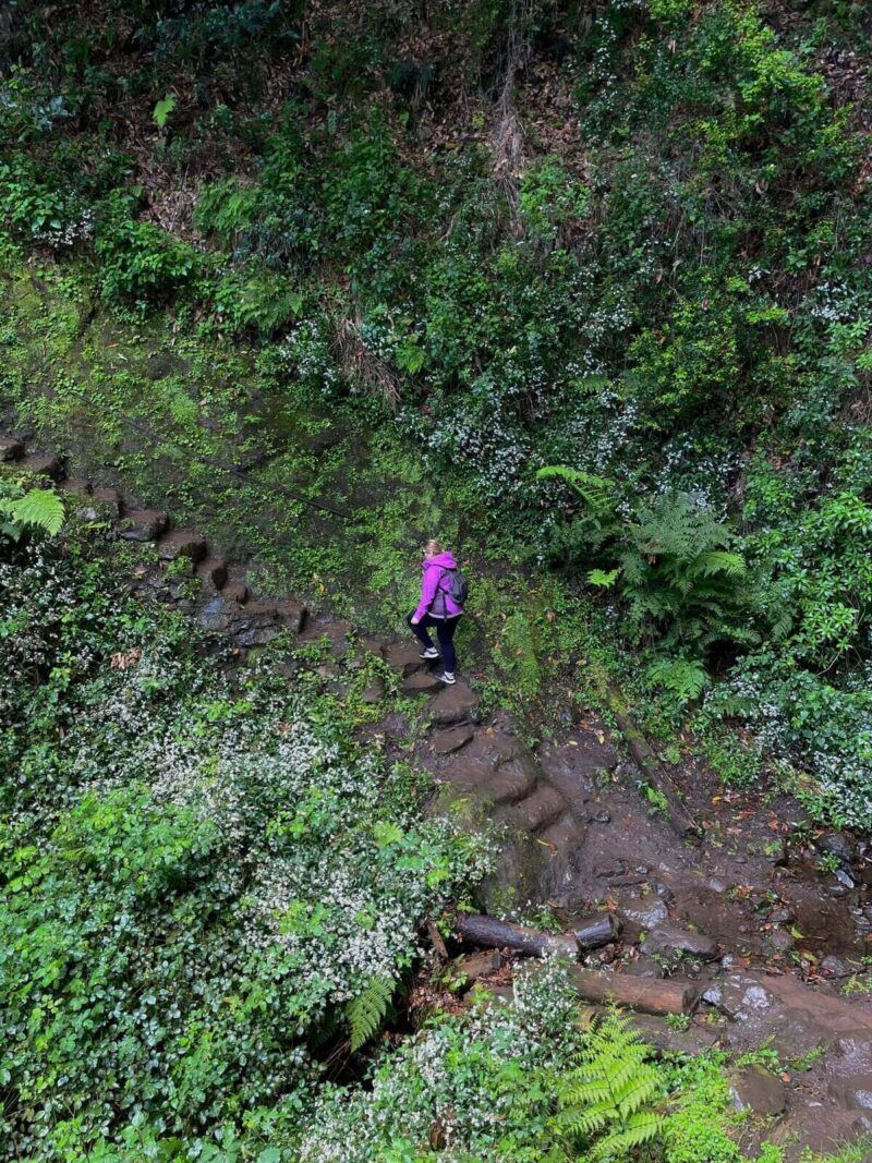 Me-Hiking-Vereda-do-Larano-Walking-Trail-Madeira with Madeira Adventure Kingdom