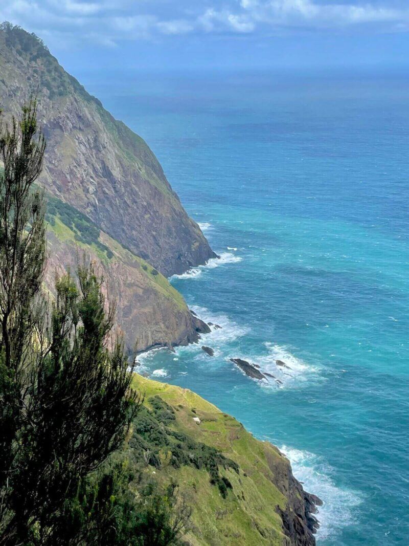 Scenic Madeira Viewpoints Hiking-Vereda-do-Larano-Walking-Trail-Madeira