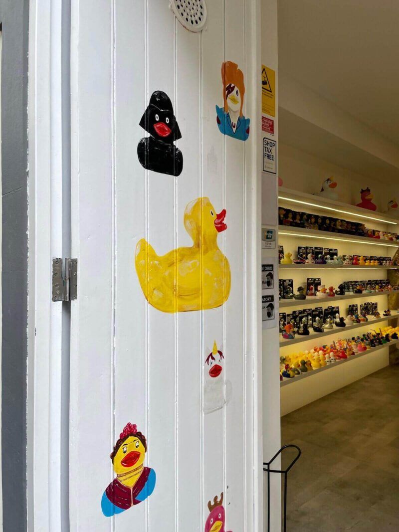 The-Duck-House-Funchal-Madeira