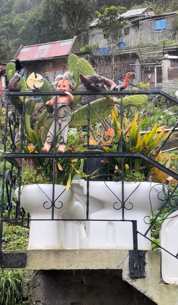 Things-to-see-in-Machico-Madeira
