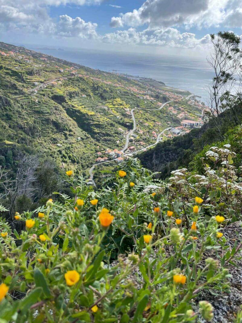 View-over-Santa-Cruz-from-Caminho-da-Morena