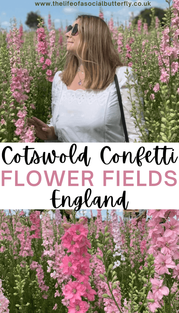 Visiting Cotswold Confetti Fields 2024 Wick Confetti Flower Field 