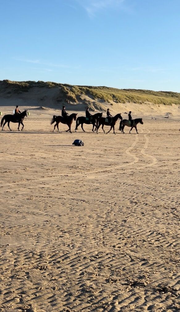 Beach-Horseriding-Amsterdam-Beach