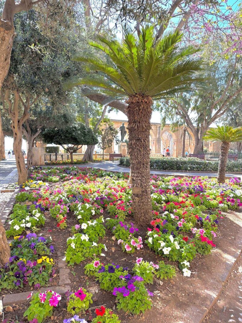 Flowers-Upper-Barrakka-Gardens