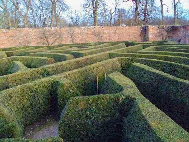 Maze-Blenheim-Palace-Cotswolds