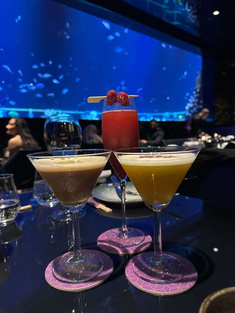 Cocktails-Nemo-Restaurant-Land-of-Legends-Antalya
