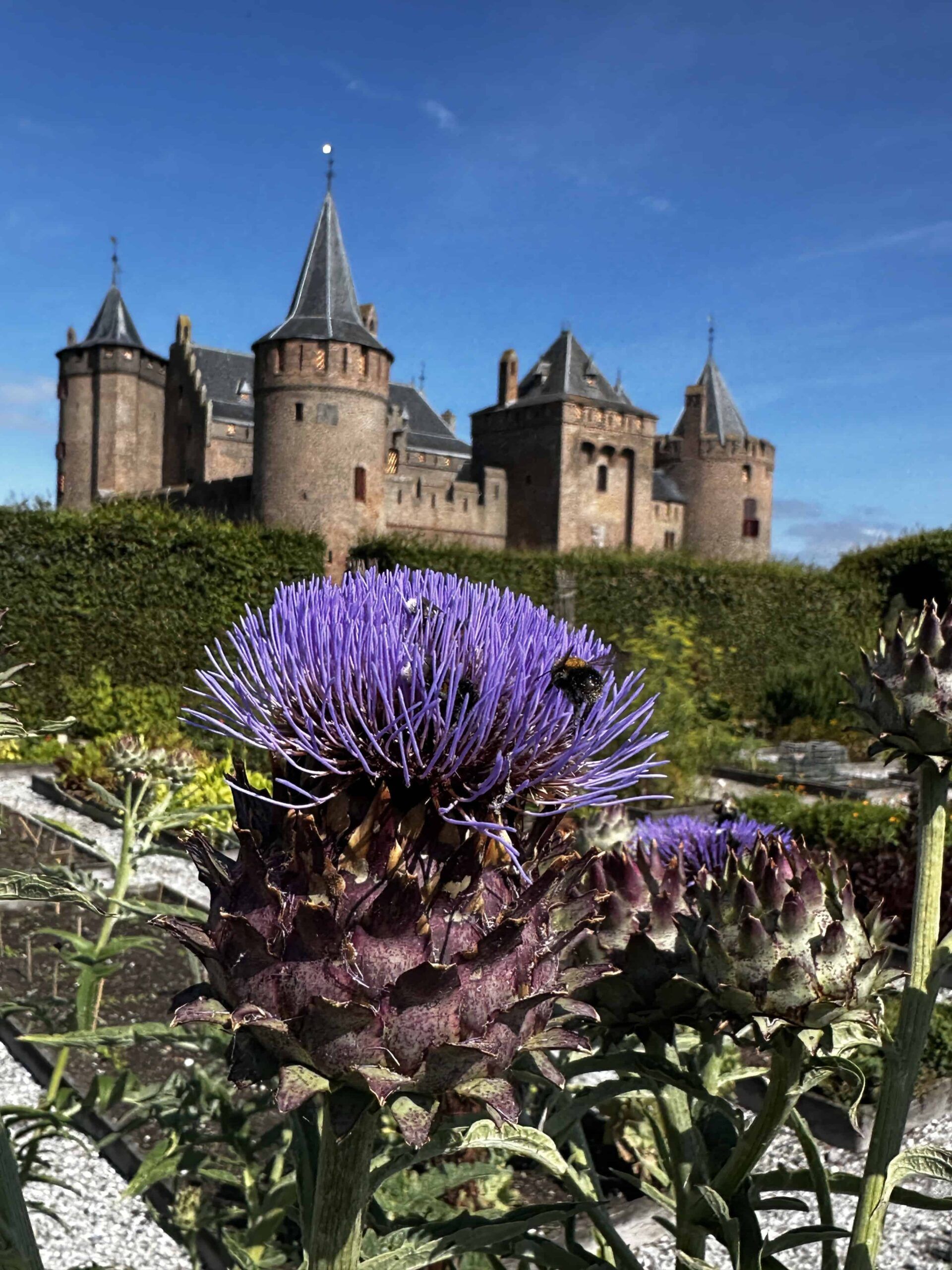 Flower garden Amsterdam Castle Muiderslot