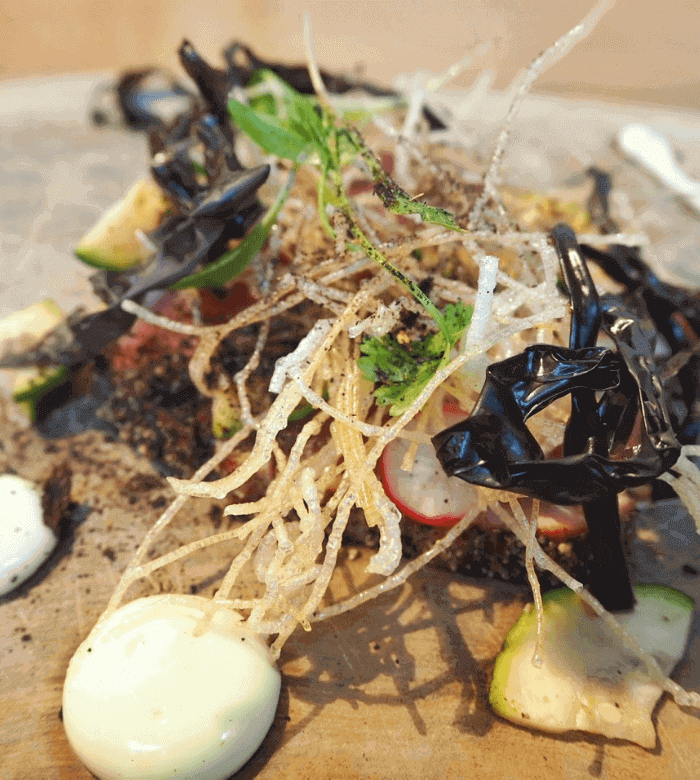 Food reviews around the world