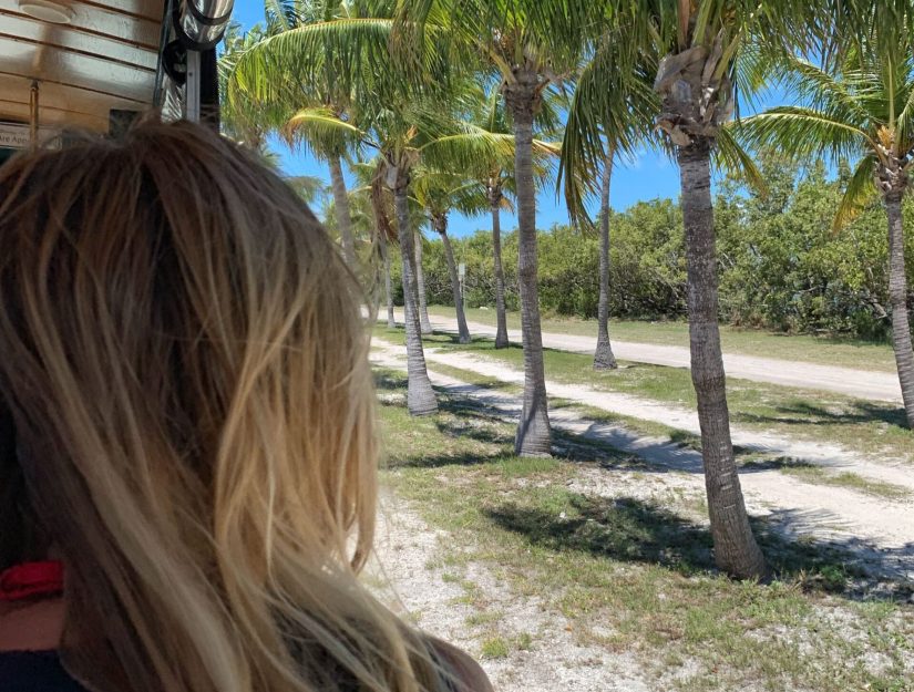 Palm-tree-views-old-town-trolley-tour-Key-West-Florida